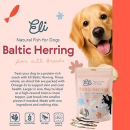 Dried Baltic Herring Natural Single Ingredient Dog Treats 80g