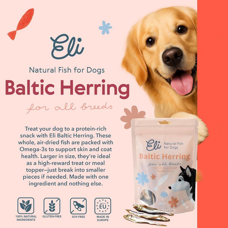 Dried Baltic Herring Natural Single Ingredient Dog Treats 80g
