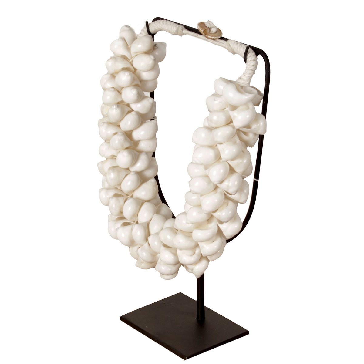 Collier Petit Coquillage J65 Sur Support