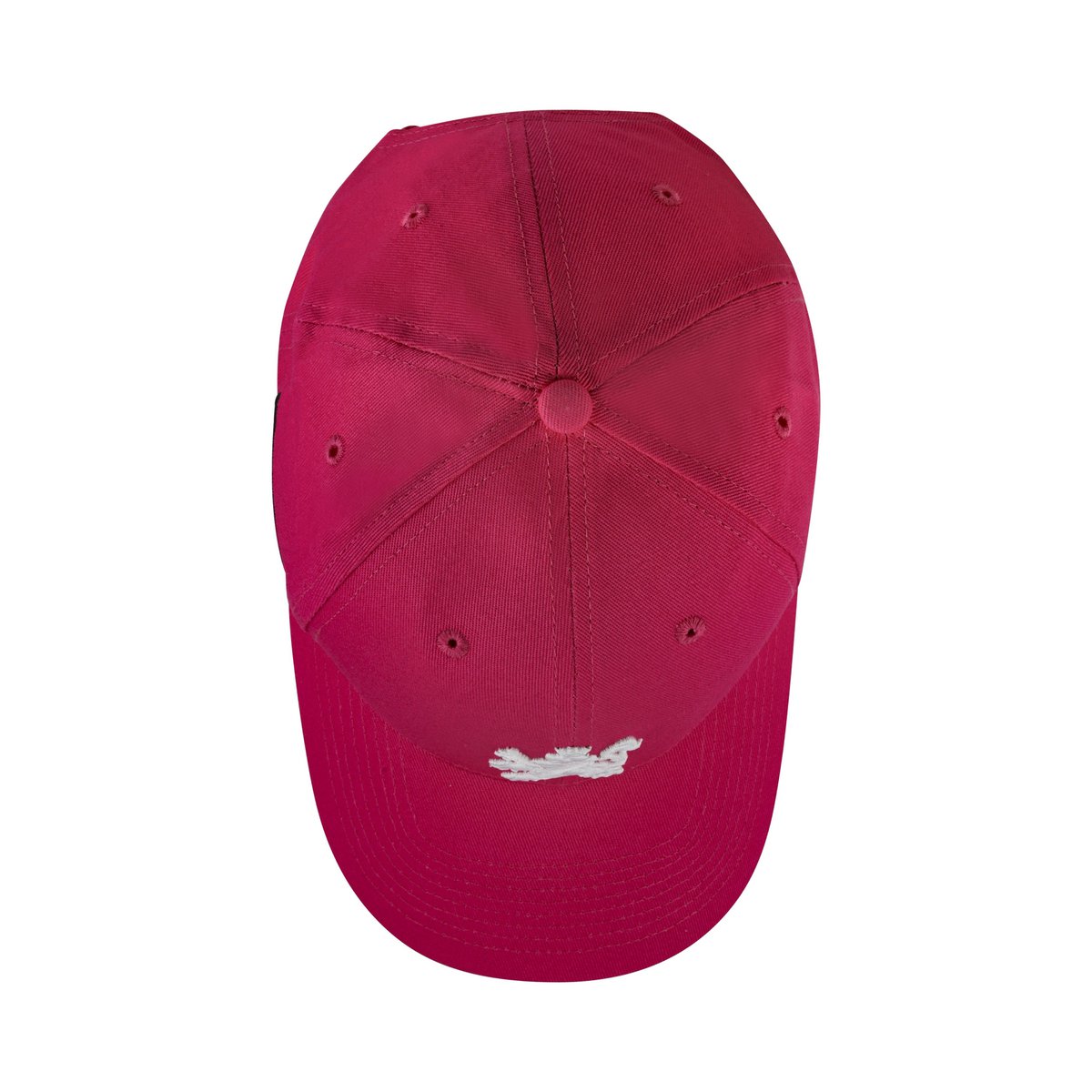 Casquette de baseball O.Leo - Rose - Lion blanc - Drapeau de la fierté - Unisexe