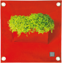 The Green Pockets® AMMA Red