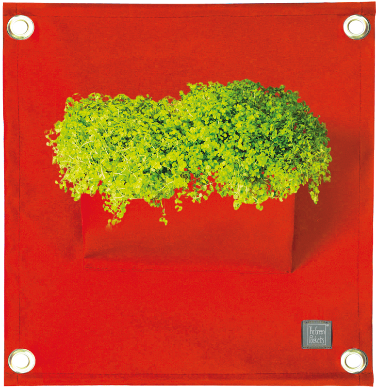 Die Green Pockets® AMMA Red