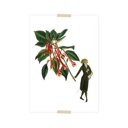 Colorful postcard featuring a collage of a man with fuchsia flowers. The image depicts a vibrant, artistic design with natural elements.