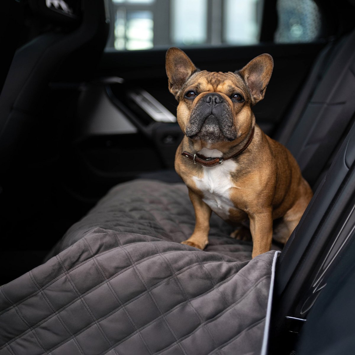 Coperta in velluto OXFORD per cani