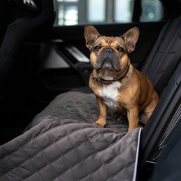OXFORD fløjlstæppe til hunde