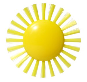 Plui Borstel Sunny