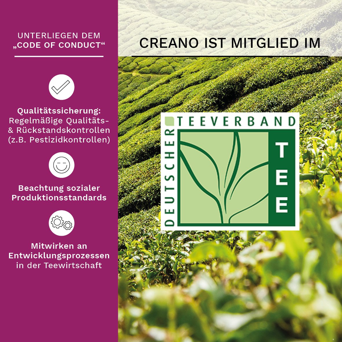 Creano Glasteekanne 1,0l inkl. 2 Teeblumen