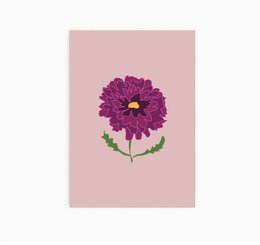A6 Ansichtkaart || Chrysant || Bloem