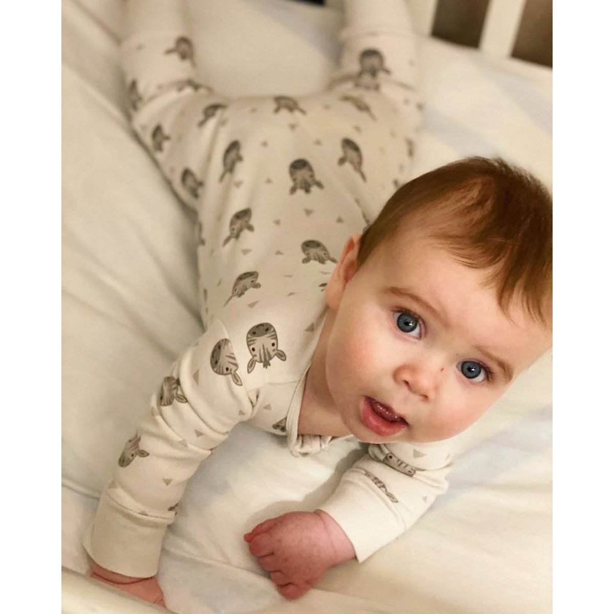 Pyjama zippé zèbre