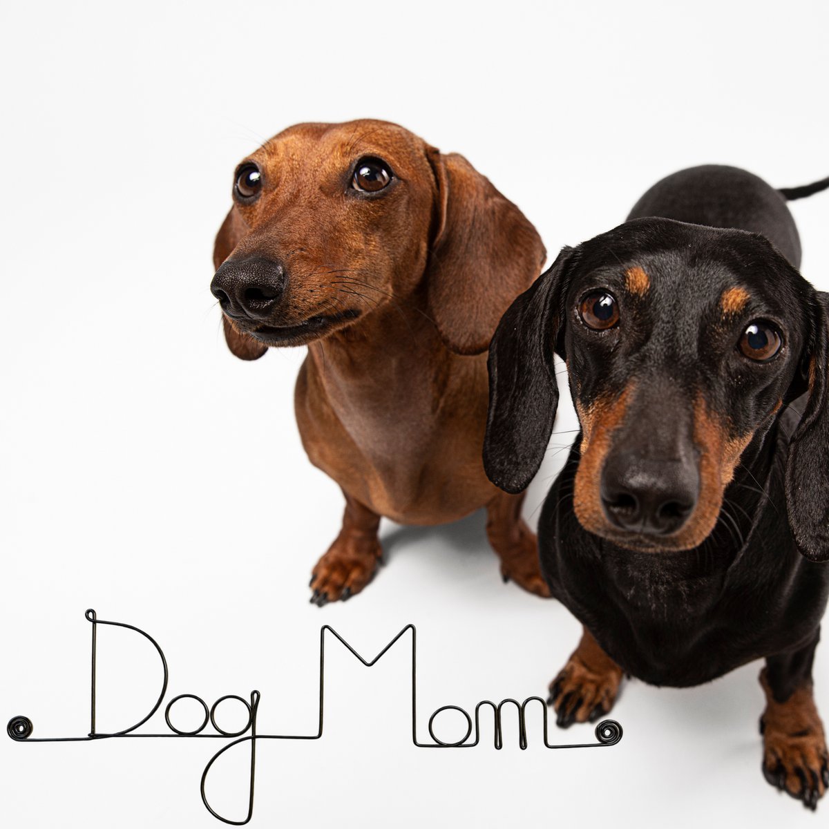 Decoración de pared de alambre "Perro" "Mamá Perro" - para fijar - Joyería de pared