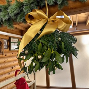 Weihnachtsbox -Mistel - Gold (8 Packungen 3 Bündel)