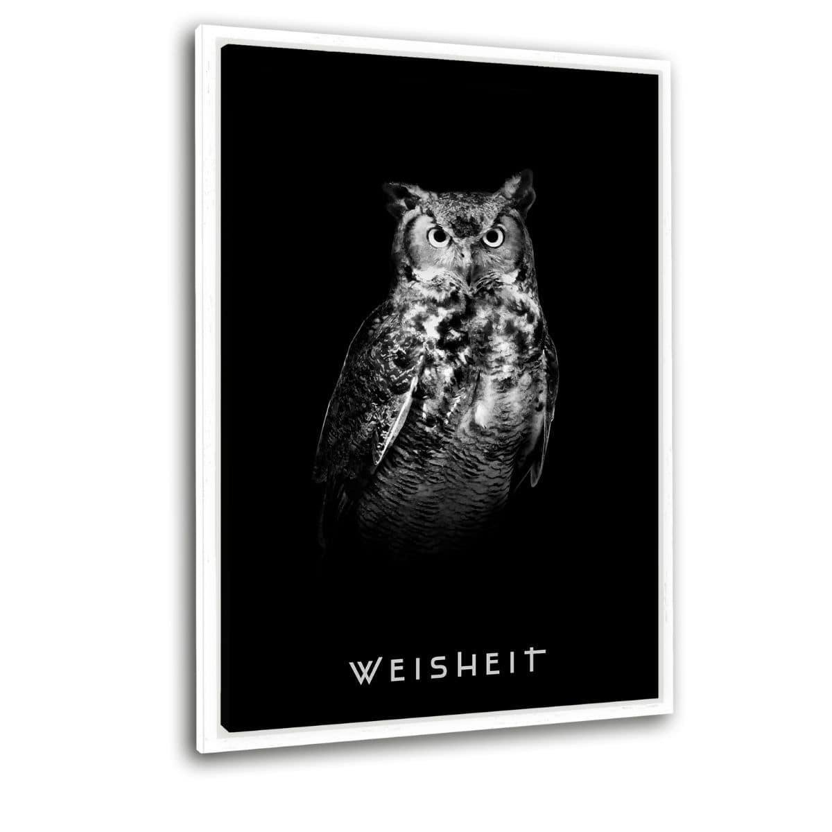 Wisdom - plexiglass picture