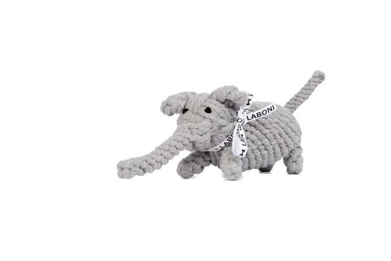 Elton Elephant - kultlegetøj til hunde