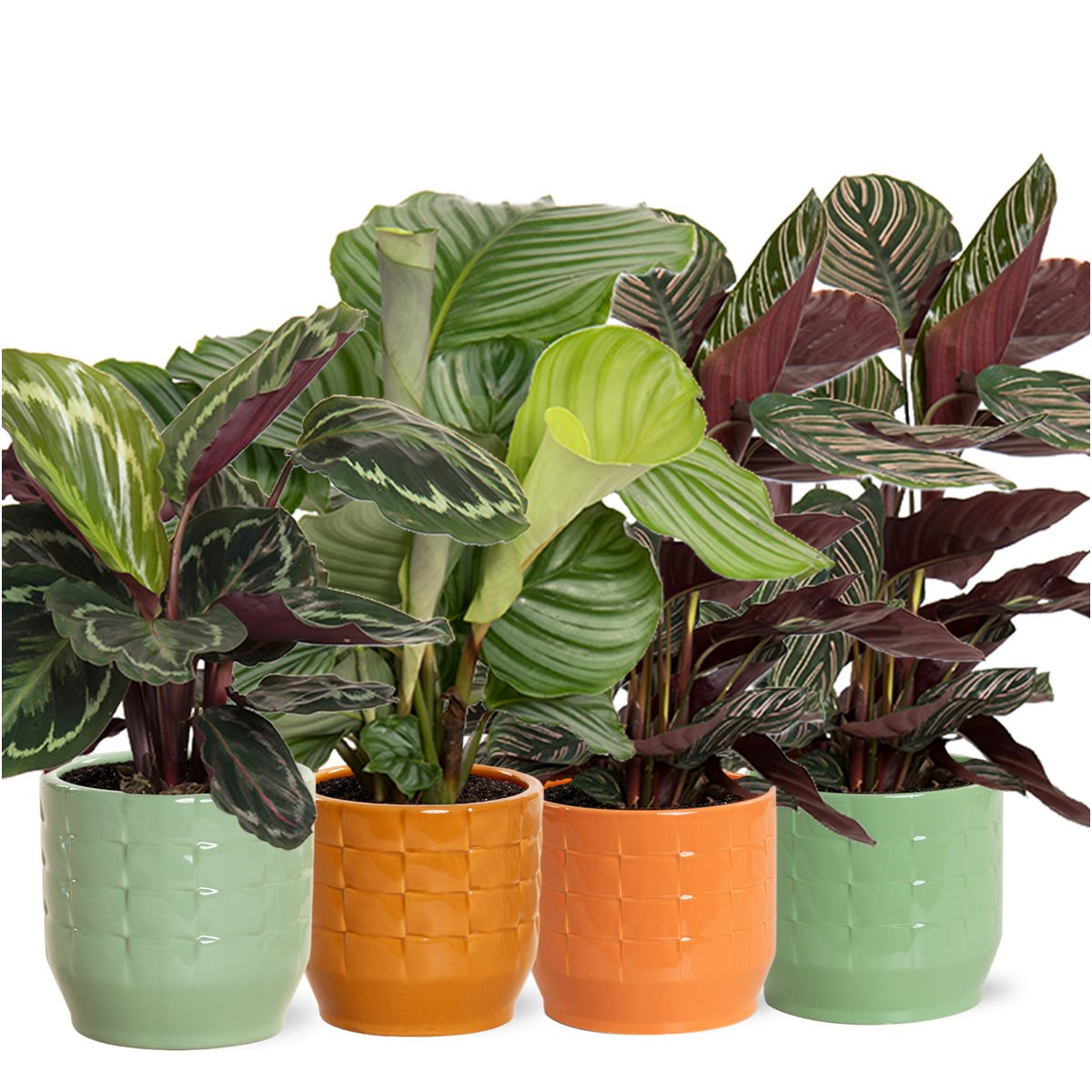 Kolorowy Mix Romantyczny w ceramice Sanne s.17