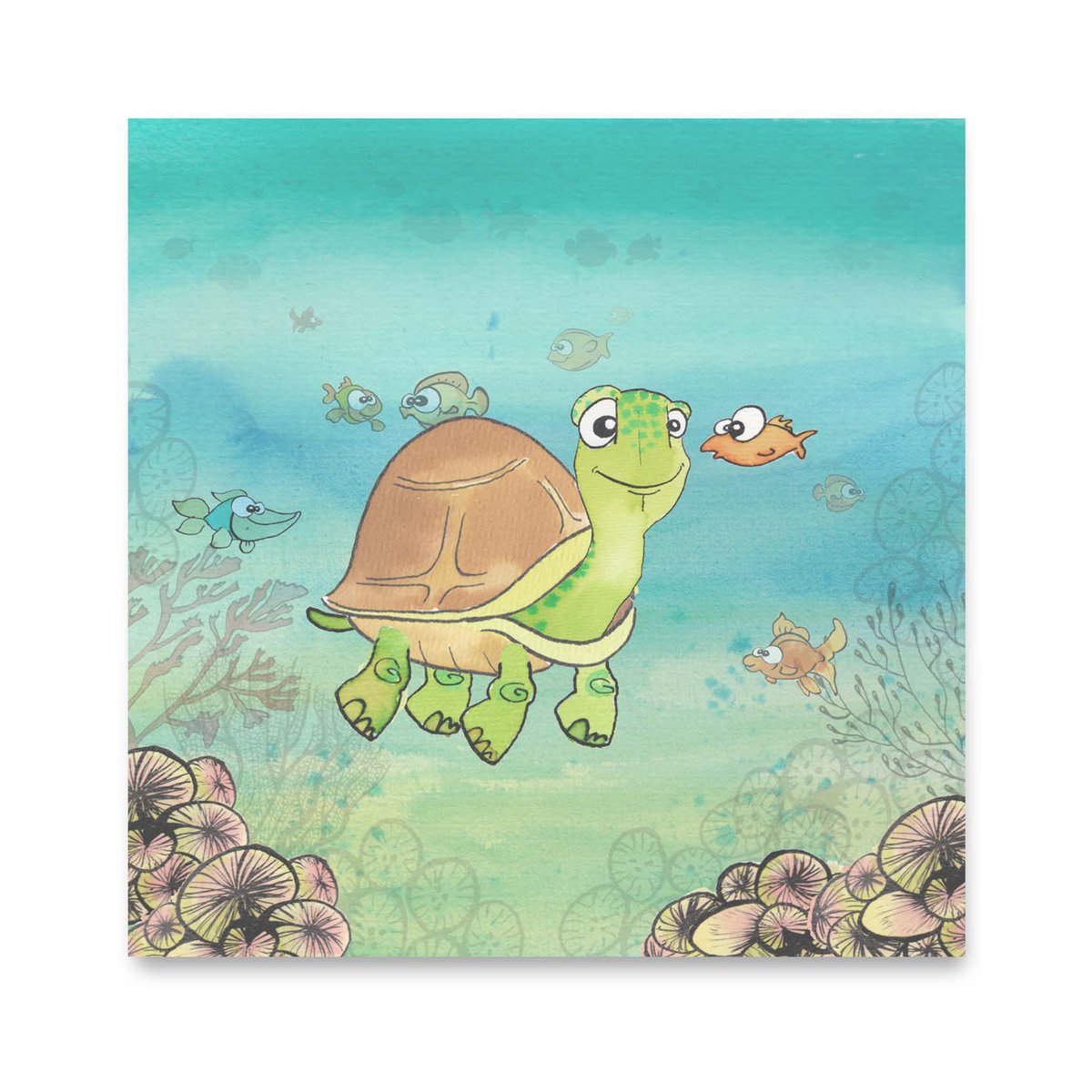 M0062 - Turtle