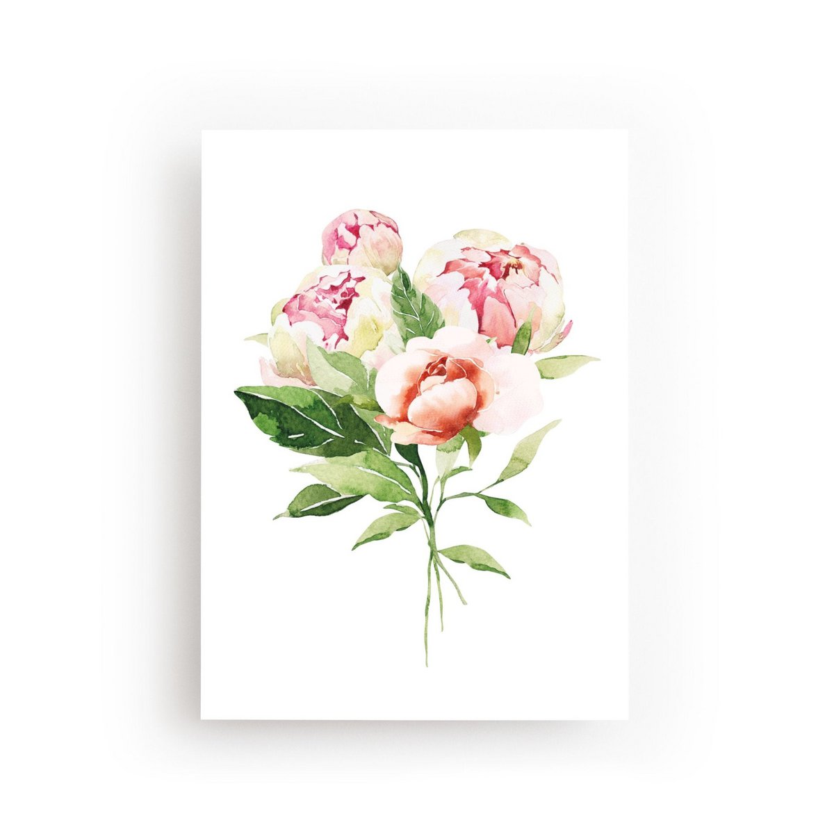 POSTCARD PEONIES