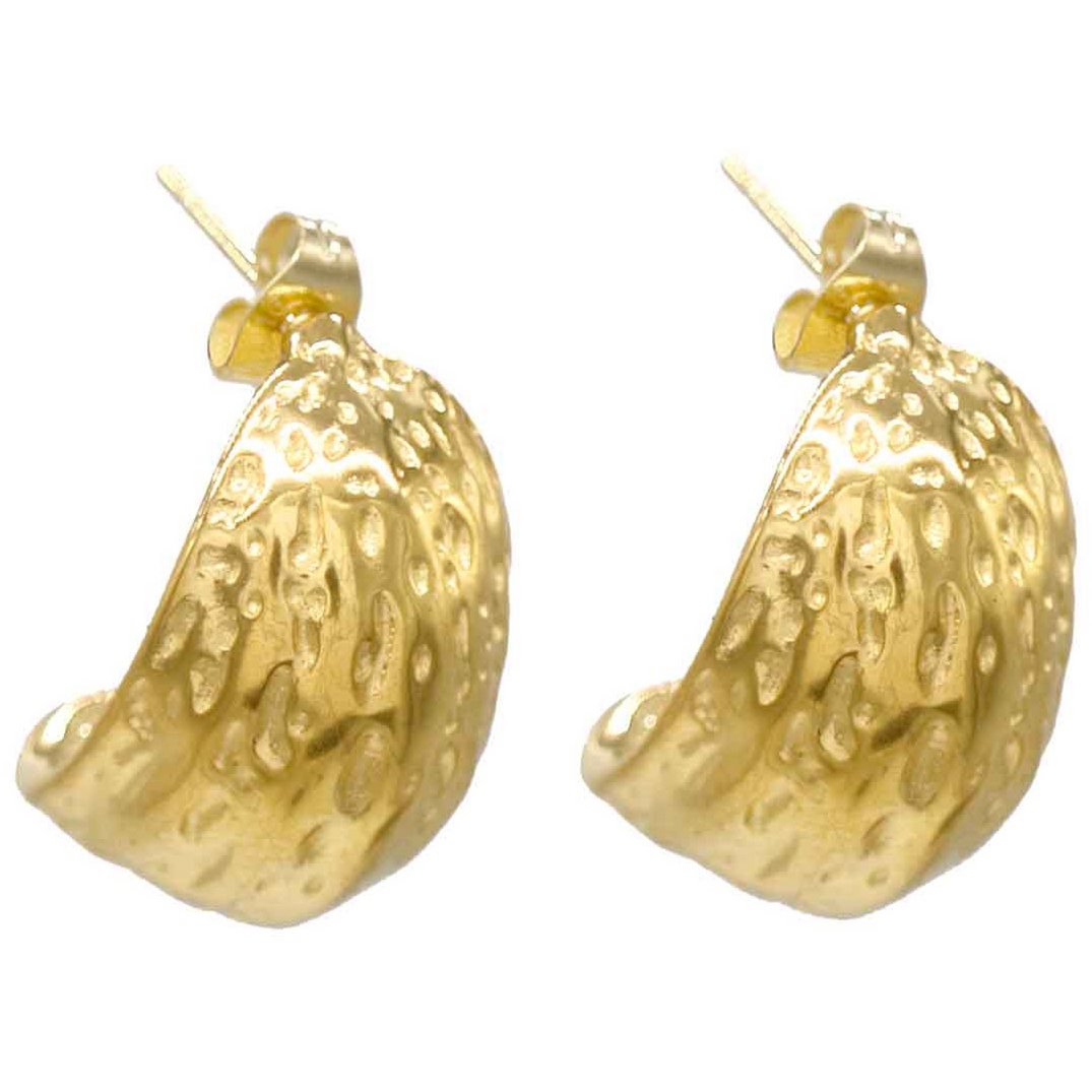D-A17.2  E103-120G S. Steel Earrings 2.5cm