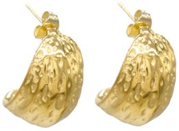 D-A17.2  E103-120G S. Steel Earrings 2.5cm