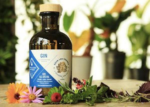 Flavored gin