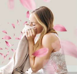 Horomia Wachsparfüm Brezza di Primavera 500ml