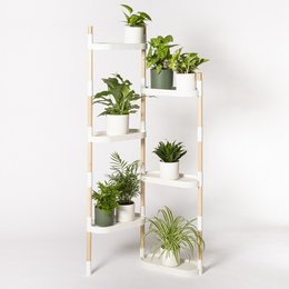 6-tier plant shelves in black, white, gray, and pine bark colors with various potted plants displayed.