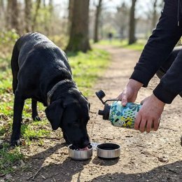 Borraccia da 1 litro per cani Reef