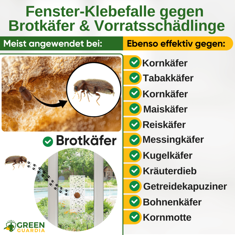 Brødbille vinduesfælde