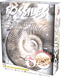 PALEO KIT: FOSSILS