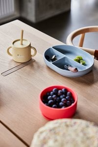 Enkei Suction Plate