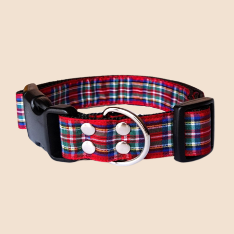 Royal Stewart Tartan Collar