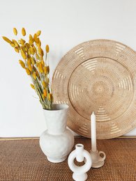 Phalaris gule tørrede blomster