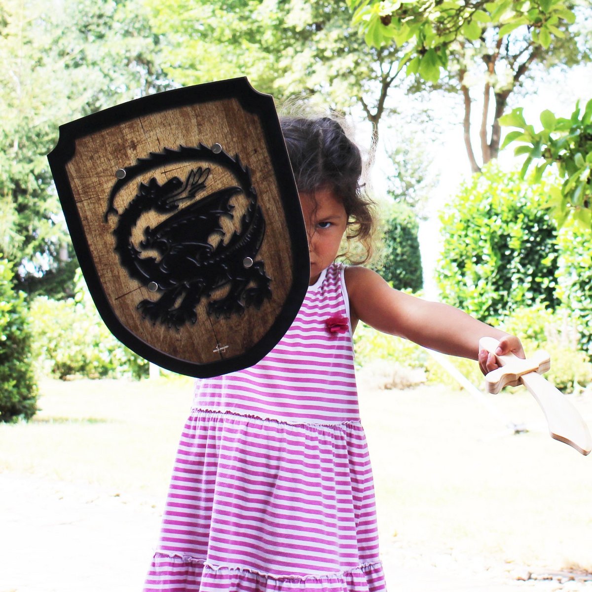 Jouet en bois dragon bouclier héraldique