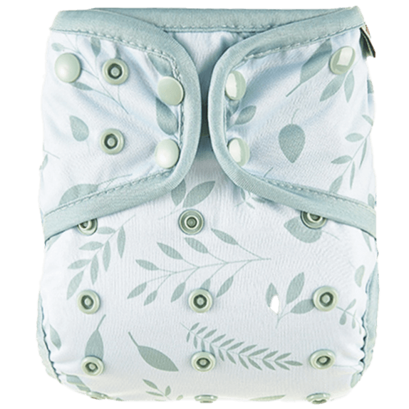 Windelhose | Botanisch