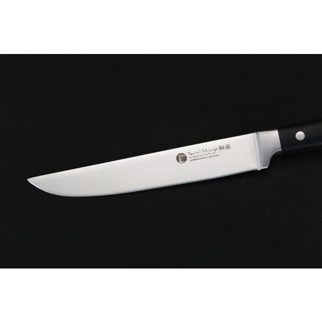 Cuchillo fileteador IZUMI ICHIAGO, mango Tecaran, "Cuchillo Chef Profesional"