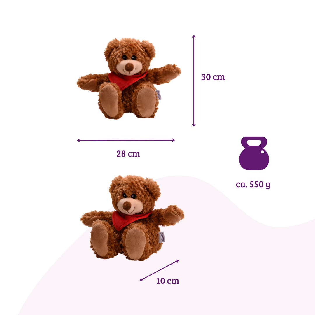 Heat cushion, the natural hot water bottle as a warm cuddly toy, large bear with organic millet filling and health herbs