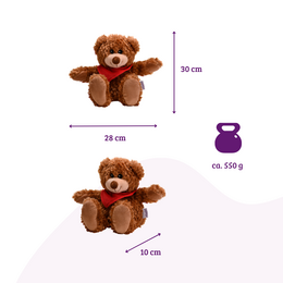 Wärmekissen die natürliche Wärmflasche als Wärmekuscheltier Bär groß mit Bio-Hirse Füllung und Gesundheitskräutern