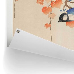 Tuinposter Tuinposter Ohara Koson - Cinciallegra 80x60