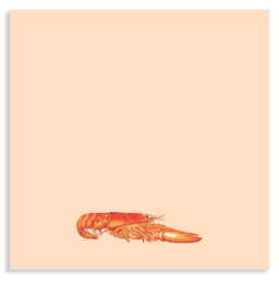 Notesblok Hummer 10x10cm