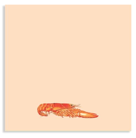 Notepad Lobster 10x10cm