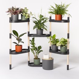This multi-tiered plant stand features a modern, minimalist design with various potted plants displayed on the shelves. The stand is available in different color options and can hold up to 6 plants, making it a versatile and stylish addition to any indoor or outdoor space.