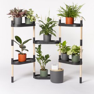 Self-watering 6-tray plant shelves