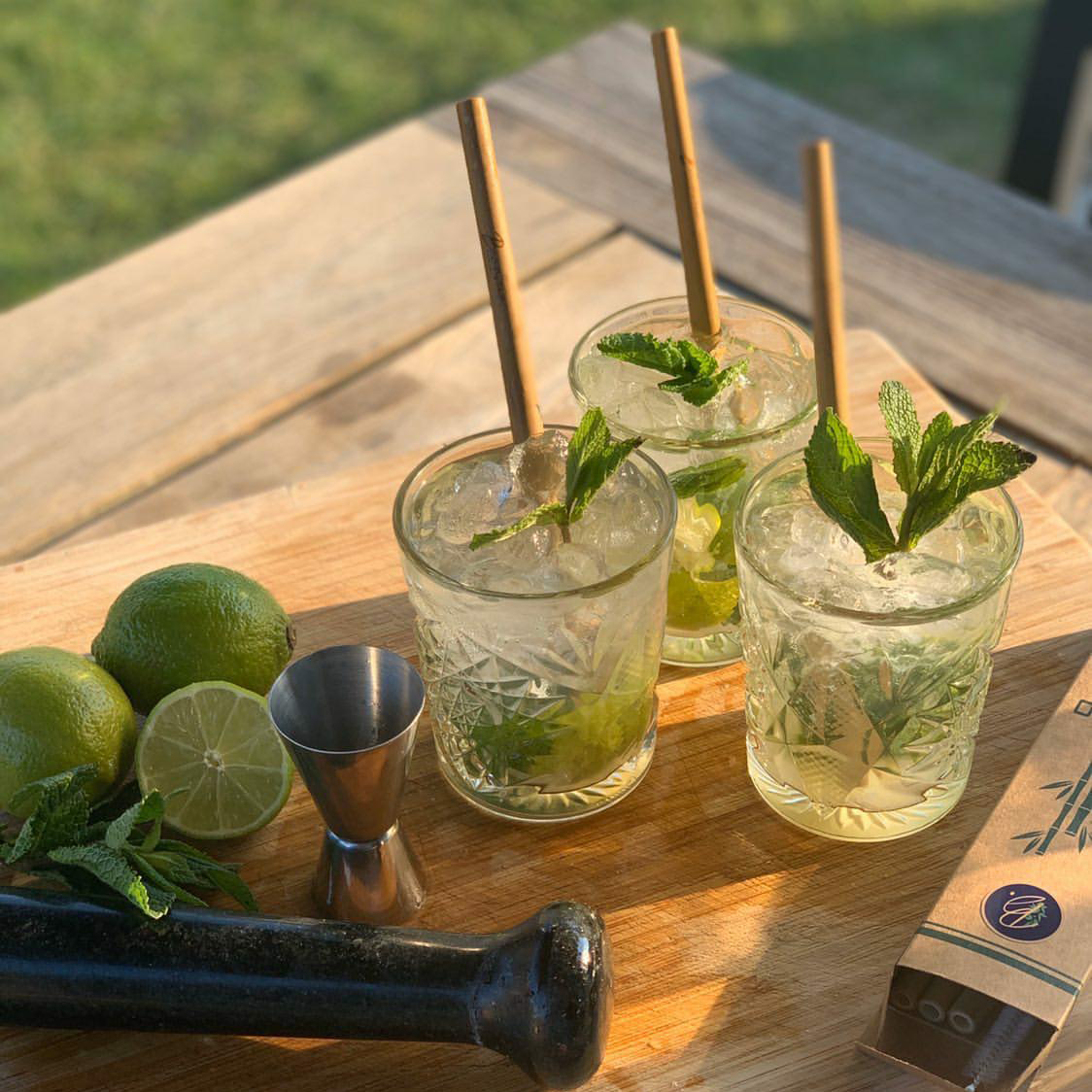 Bamboo straws (set of 6 brush)