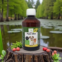 Phyto Detox for Dogs and Cats