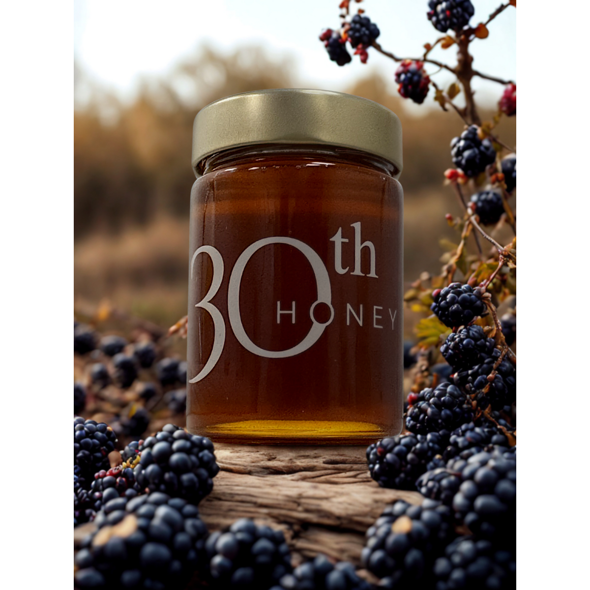 Zarzamora honey