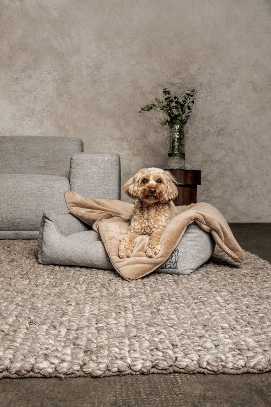 Hundedecke Emma Beige (vegansk)