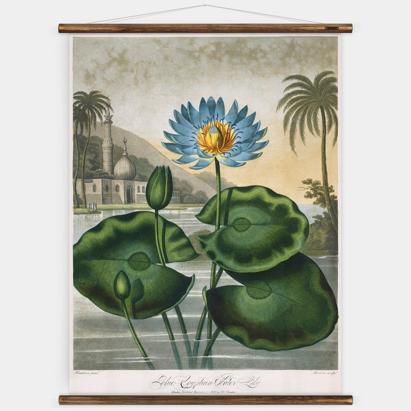 Vand Lily Wall Chart