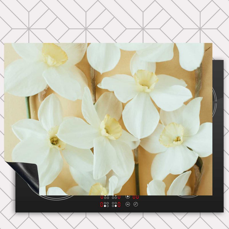 Inductie beschermer - Narcissen