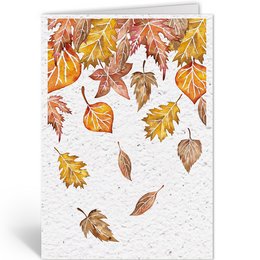 FALLING AUTUMN LEAVES