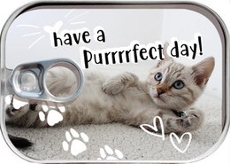 Dosenpost "Have a Purrrfect day"