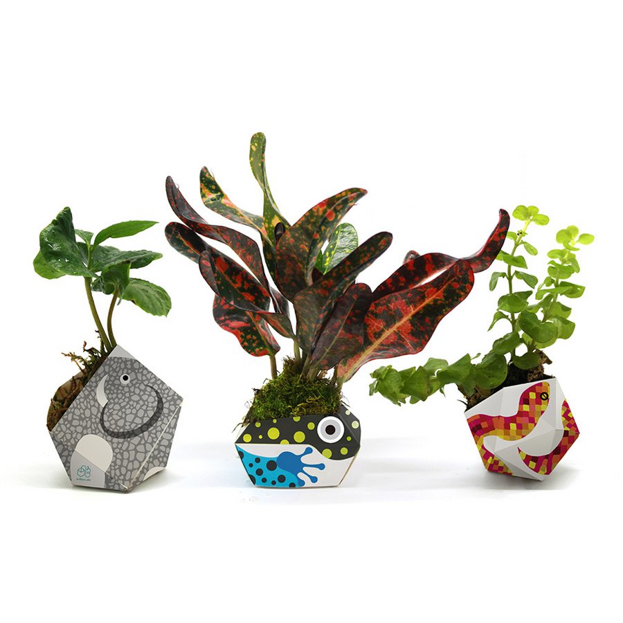 3 OriBon - Rainforest animals collection